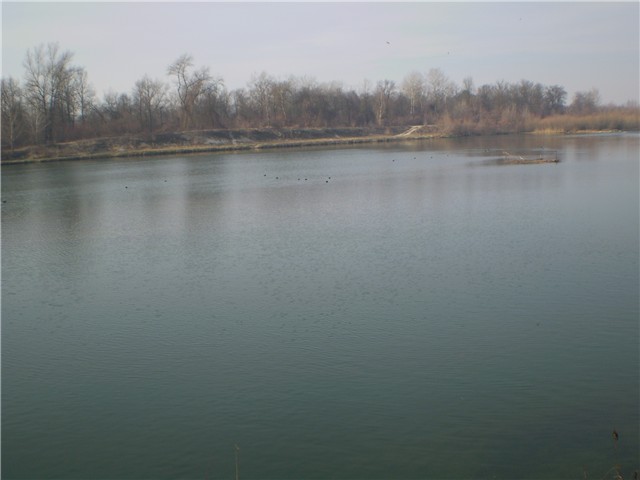 drava